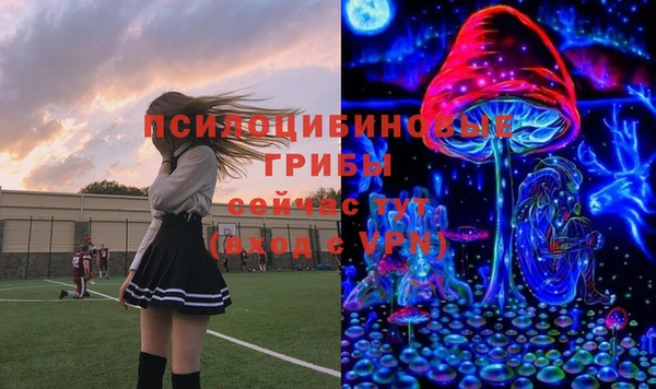 соль ск Майский