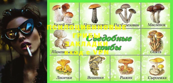 спиды Липки