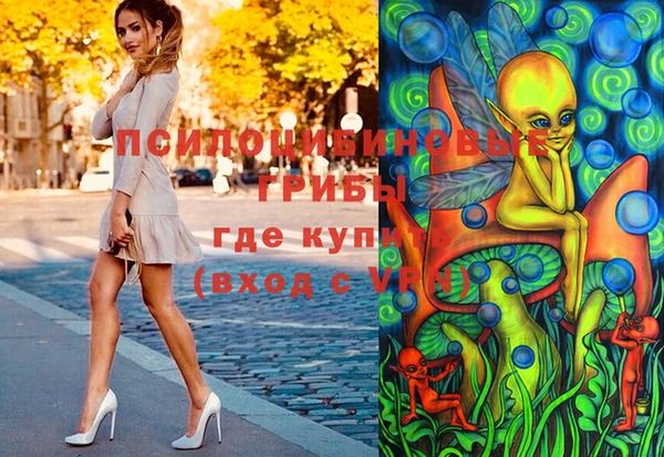 ГАЛЛЮЦИНОГЕННЫЕ ГРИБЫ Лихославль