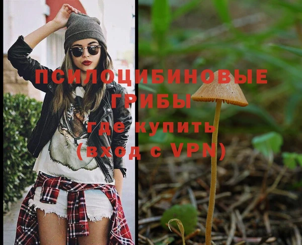 ГАЛЛЮЦИНОГЕННЫЕ ГРИБЫ Лихославль
