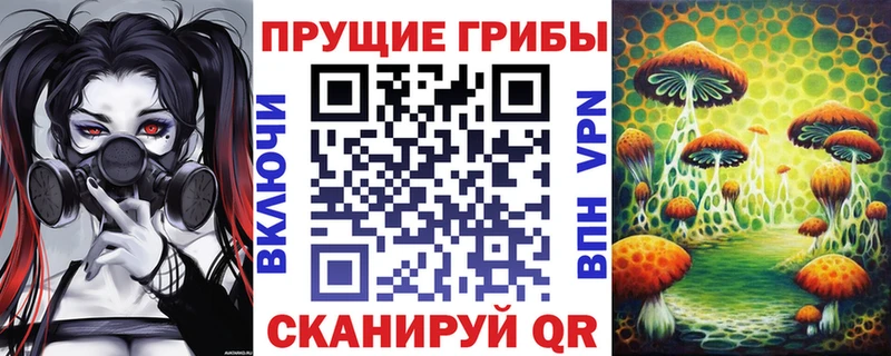 Псилоцибиновые грибы GOLDEN TEACHER  MEGA ссылки  Шахунья 